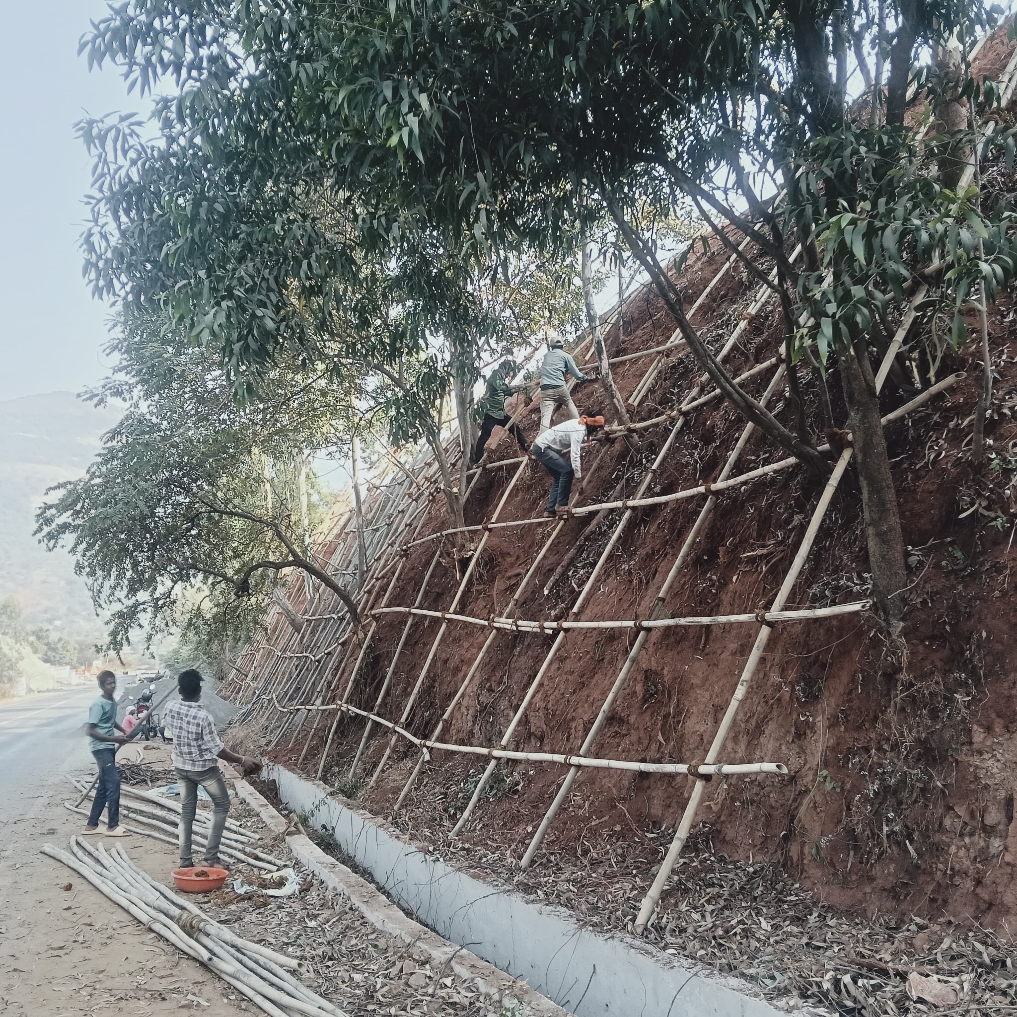 Site Fencing